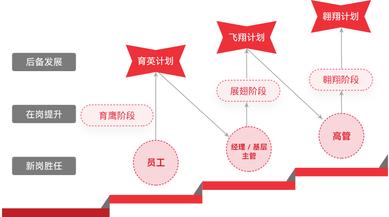 金沙990 "雄鹰计划"人才梯队培养